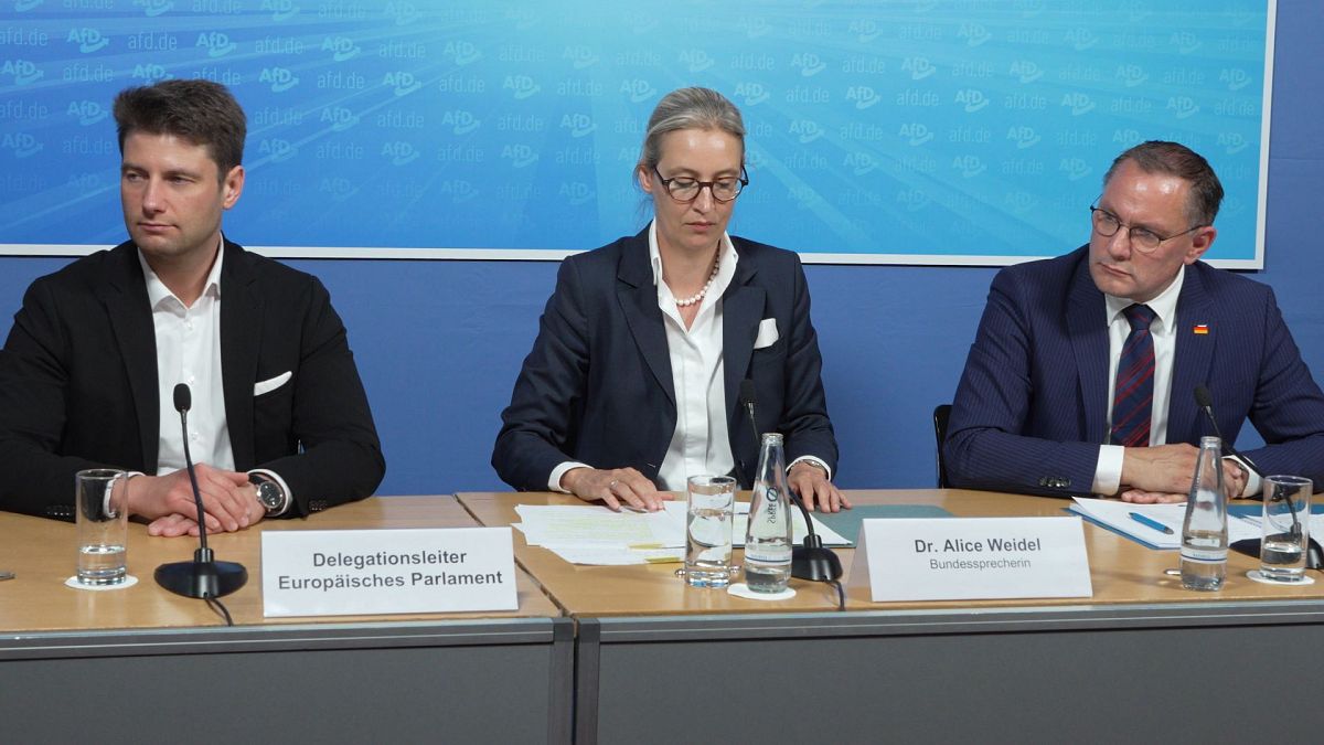 Aşırı sağcı AfD Avrupa Parlamentosu'nda sandalye istiyor