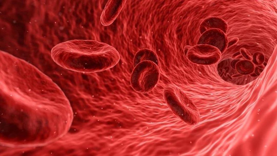 5 ölü üzerinden 1 motif: sepsi! Kan zehirlenmesi nedir? 3