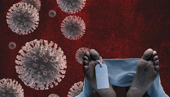 Kuş gribi A(H5N2) nedeniyle ilk insan ölümü!  DSÖ doğruladı, Meksika'dan gelen haber tüm dünyayı endişelendirdi