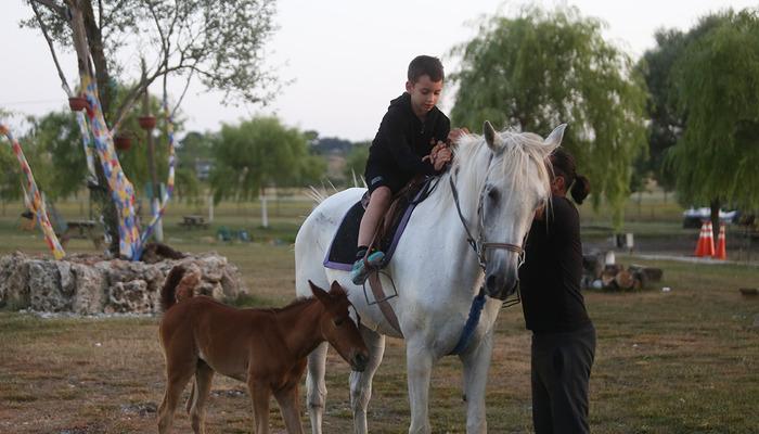 Bu daha önce hiç görülmedi!  Steril olduğu düşünülüyordu!  10 yıl sonra doğurdu