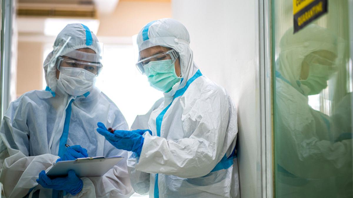 Kuş gribi alarmı: H5N5 virüsü dünyada ilk kez can aldı!
