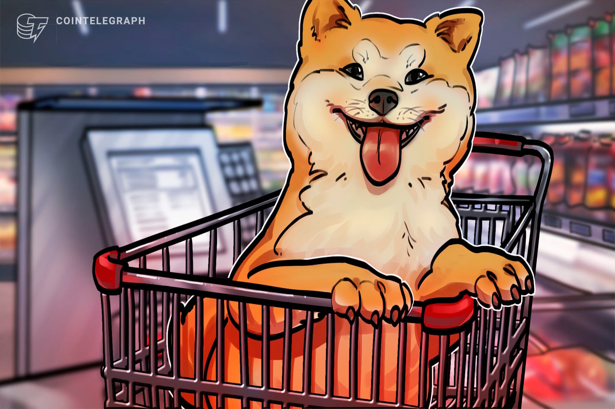 Dogecoin'in fiyatı neden arttı?