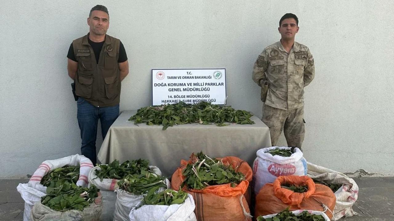 Hakkari soğanını İran'a getirmek üzereyken yakalandı: 1 milyon 161 bin 423 TL para cezası