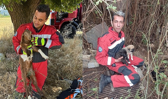 Muğla Büyükşehir İtfaiyesi Hayvan Kurtarma Operasyonu - GÜNDEM