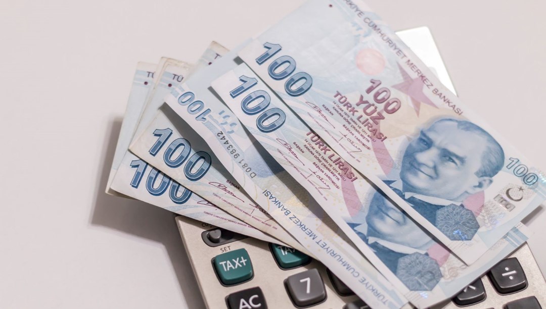 Sosyal Ekonomik Destek Artışı 2025: SED ödemesi ne kadar olacak? - Güncel ekonomi haberleri