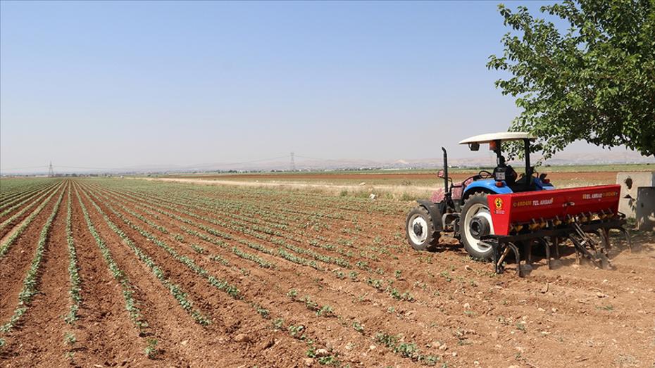 Gübre İthalatında Gümrük Vergileri Kaldırıldı: Tedarikte Yeni Dönem Başlıyor