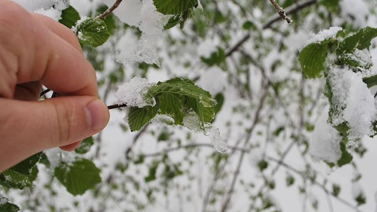 Meteoroloji tarımda don uyarısı yaptı